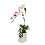 Faux Orchid Flowers w/Geodes, Succulent in White Ceramic Pot #F-256