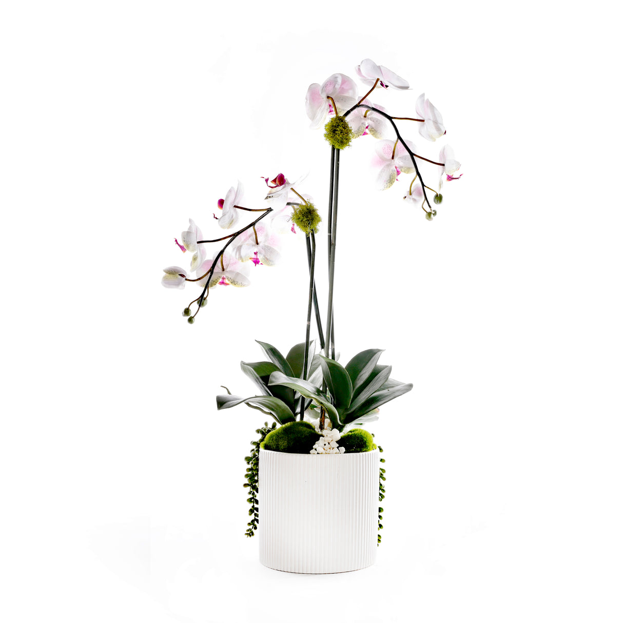Faux Orchid Flowers w/Geodes, Succulent in White Ceramic Pot #F-256