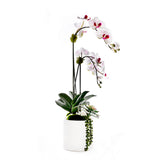 Faux Orchid Flowers w/Geodes, Succulent in White Ceramic Pot #F-256
