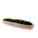 Faux Moss in Wood Long Bowl #F-261