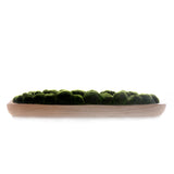 Faux Moss in Wood Long Bowl #F-261