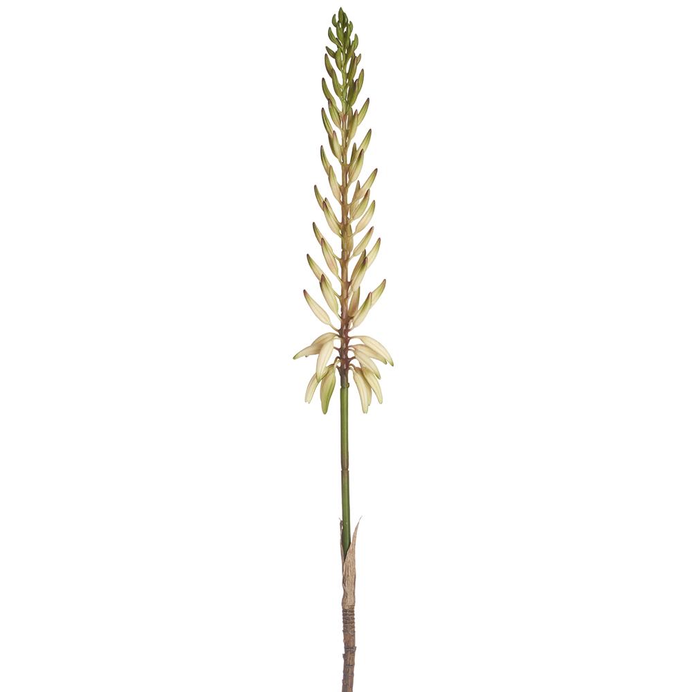 28" Agave Flower Spray  White Green (2 Stems Per Box) #FSA175-WH/GR