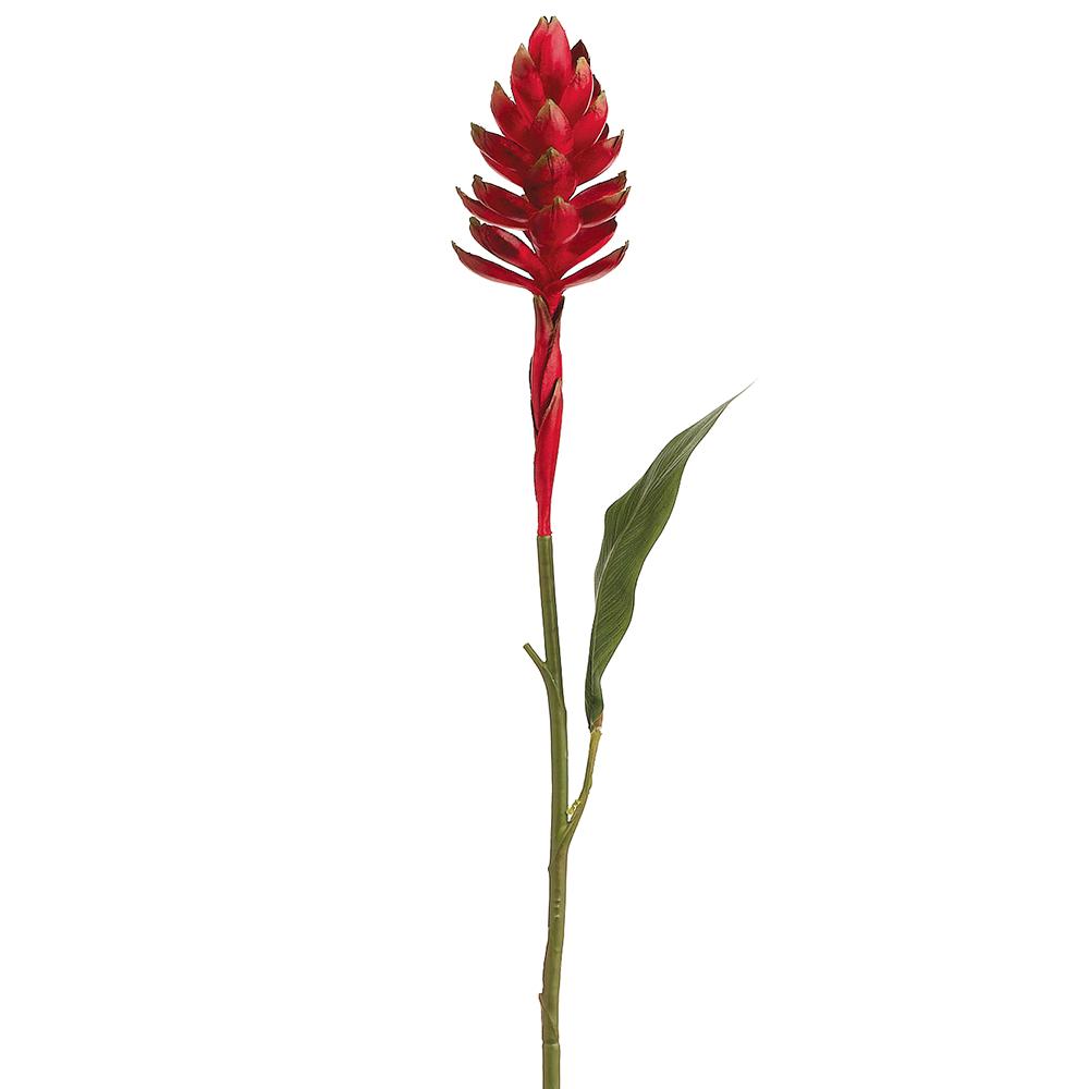 30.5" Ginger Spray  Red (2 Stems Per Box) #FSG601-RE