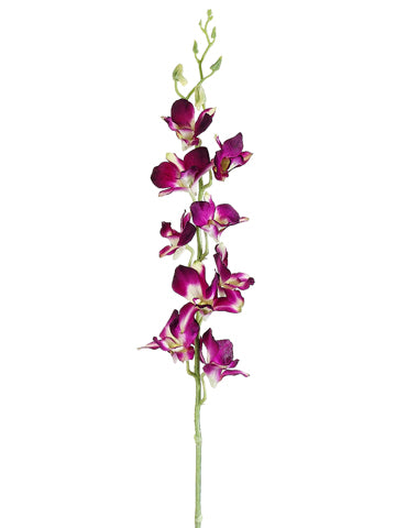 35.5" Dendrobium Orchid Spray Purple (2 Stems Per Box) #FSO008-PU