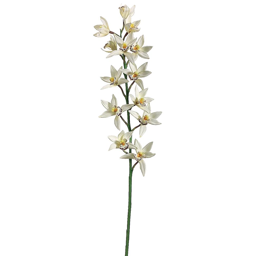 38" Cymbidium Orchid Spray Cream (2 Stems Per Box) #FSO010-CR