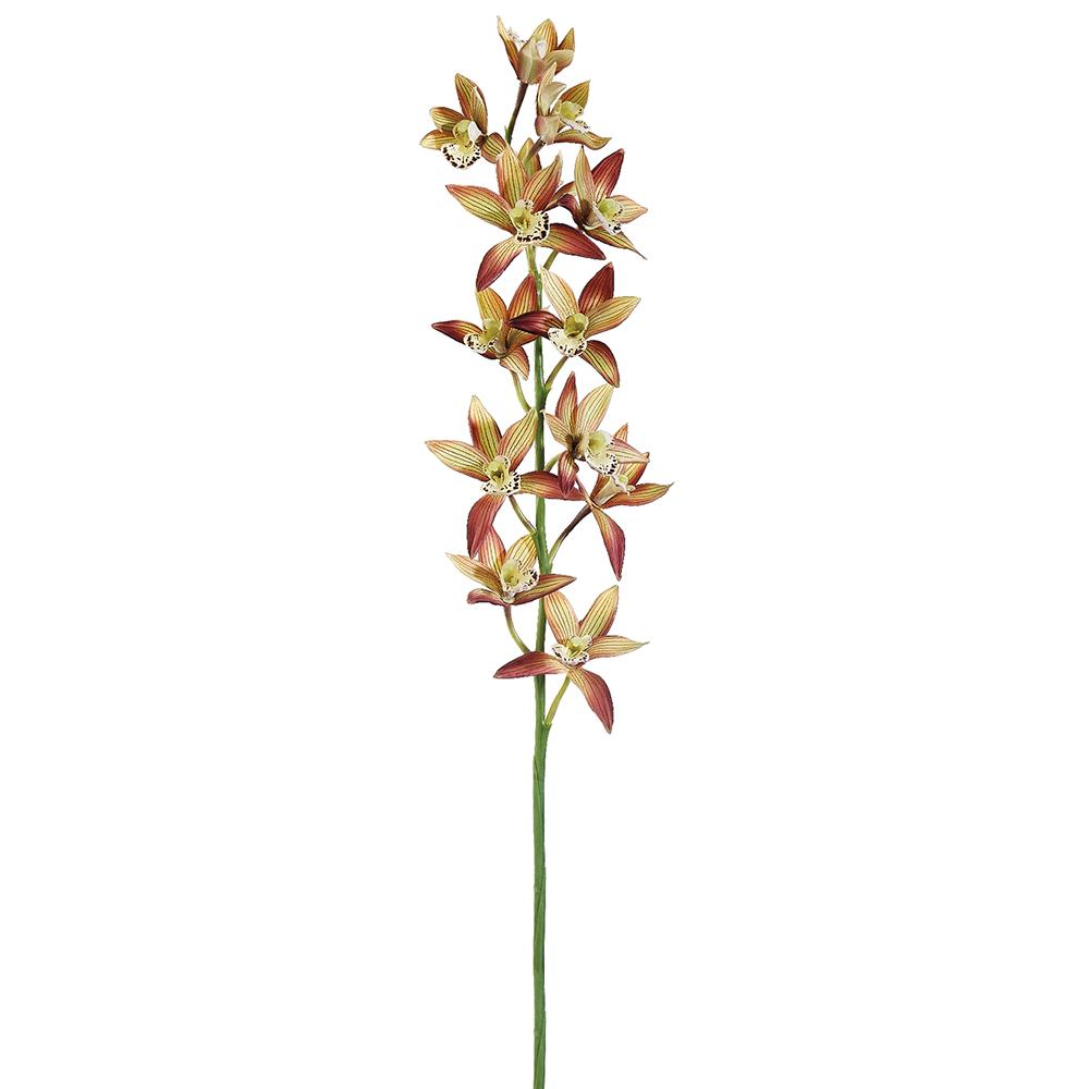 38" Cymbidium Orchid Spray Rust Yellow (2 Stems Per Box) #FSO010-RU/YE
