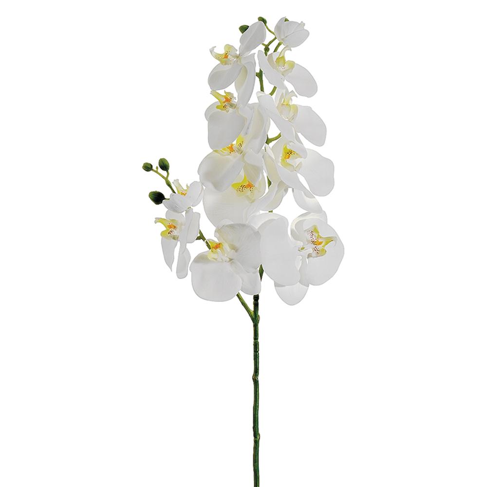 34" Phalaenopsis Orchid Spray White (2 Stems Per Box) #FSO124-WH