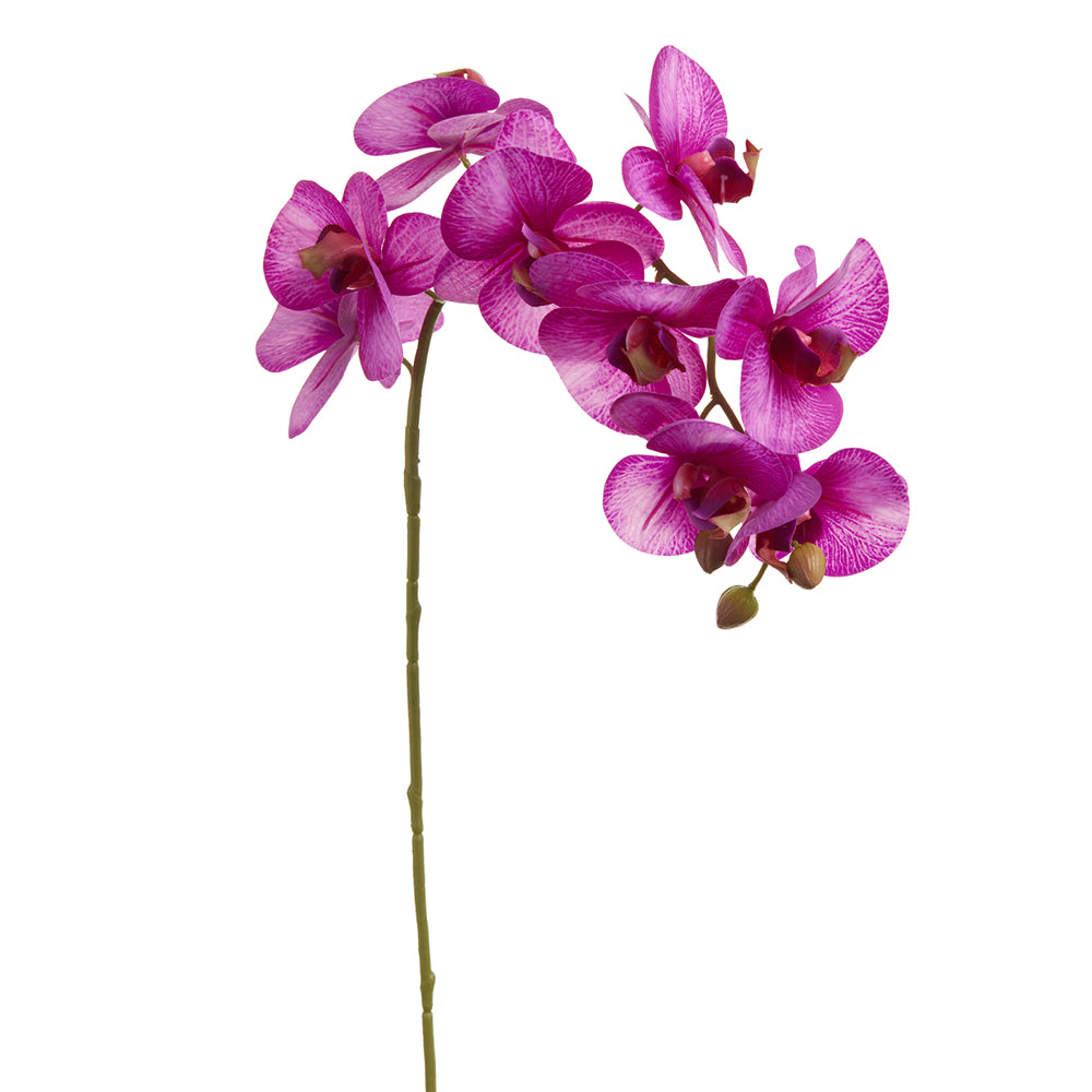 30" Phalaenopsis Orchid Spray Violet x 9 (2 Stems Per Box) #FSO281-VI