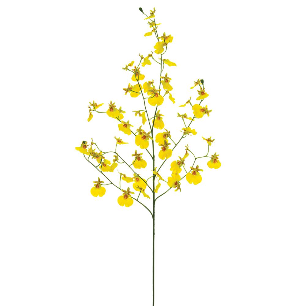 31.5" Oncidium Orchid Spray Yellow (2 Stems Per Box) #FSO386-YE