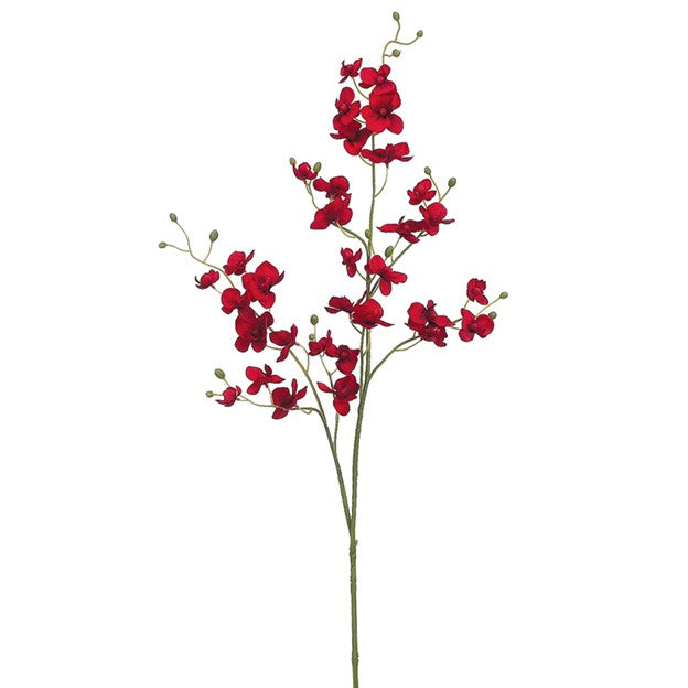 39" Phalaenopsis Orchid Spray Red (12 Stems Per Box) #FSO404-RE