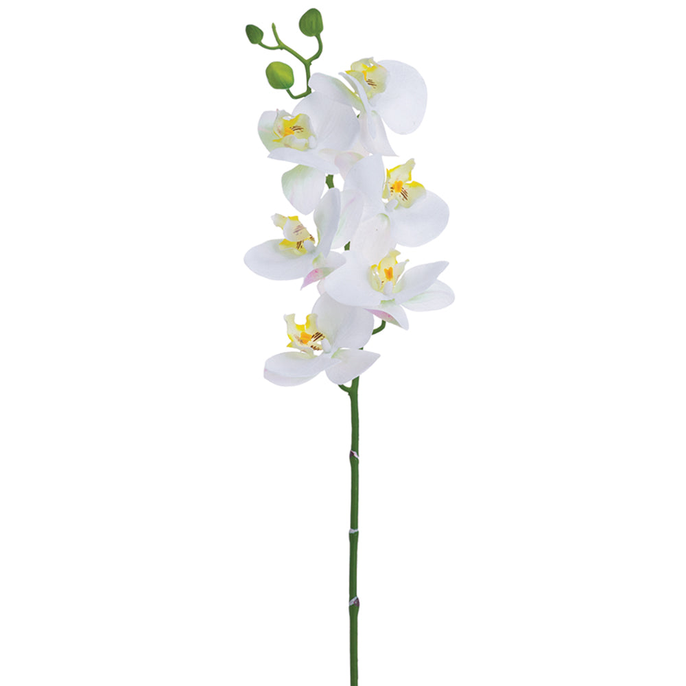 30" Phalaenopsis Orchid Spray White (2 Stems Per Box) #FSO706-WH