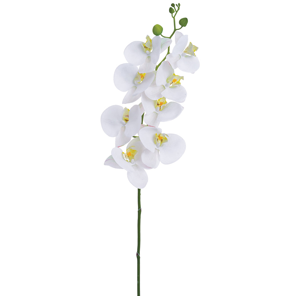 41" Phalaenopsis Orchid Spray with 8 Flowers and 4 Buds White (2 Stems Per Box) #FSO709-WH