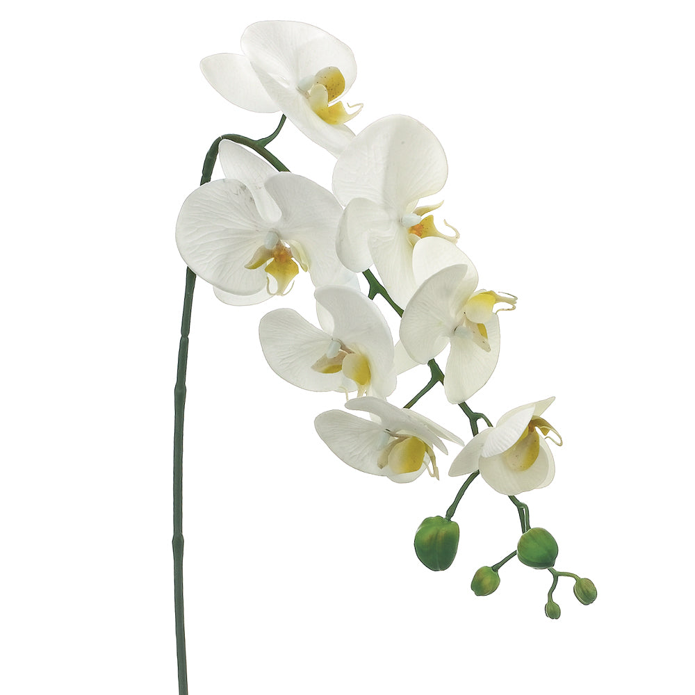 28.5" Phalaenopsis Orchid Spray White (2 Stems Per Box) #FSO723-WH