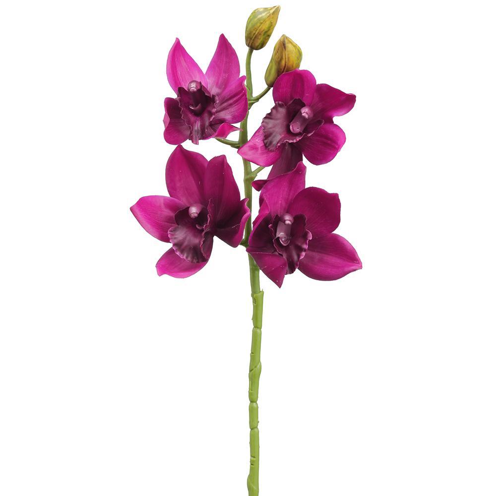 19" Cymbidium Orchid Spray Boysenberry (2 Stems Per Box) #HSO047-BB