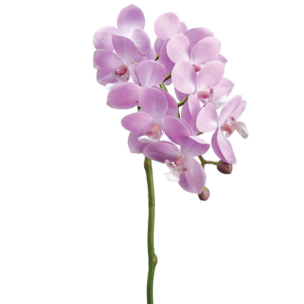 18.5" Small Phalaenopsis Orchid Spray Lavender Two Tone (2 Stems Per Box) #HSO159-LV/TT