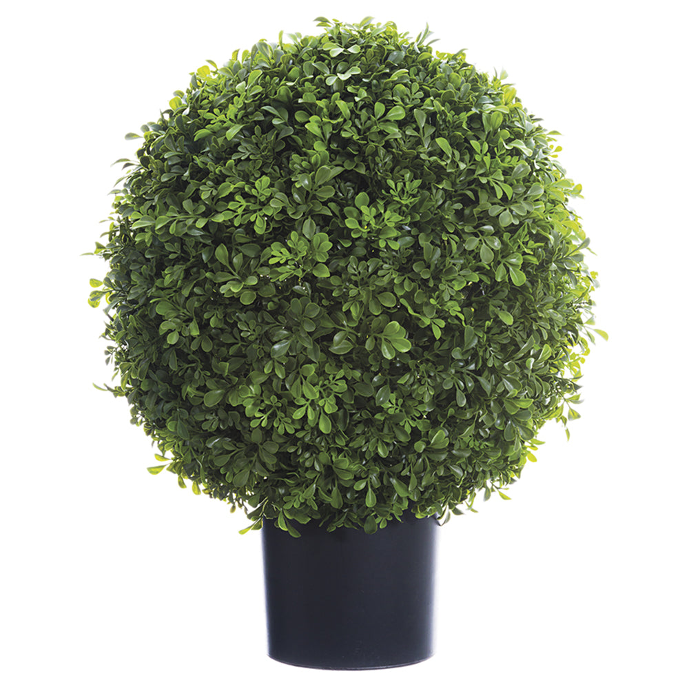 22" Boxwood Ball Topiary in Nursery Pot Green #LPB350-GR