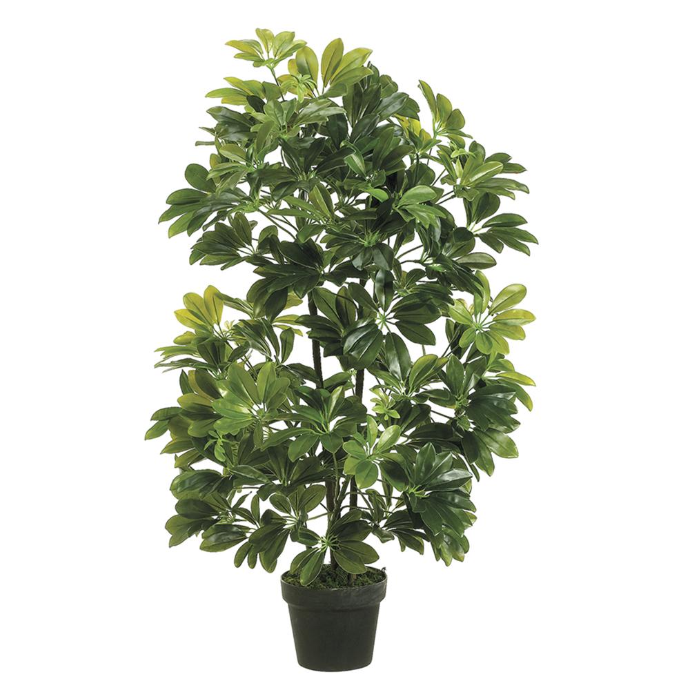 EVA Schefflera Tree #LPS765-GR