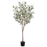6' Olive Tree in Pot  Green Gray #LTO016-GR/GY