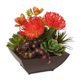 Contemporary Tropical Succulent Arrangement in a Metal Container #OS-11