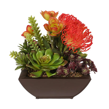Contemporary Tropical Succulent Arrangement in a Metal Container #OS-11