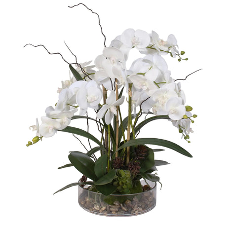 Real Touch White Phalaenopsis Orchid with Succulents and Natural Rocks in a Glass Pot #OS-16