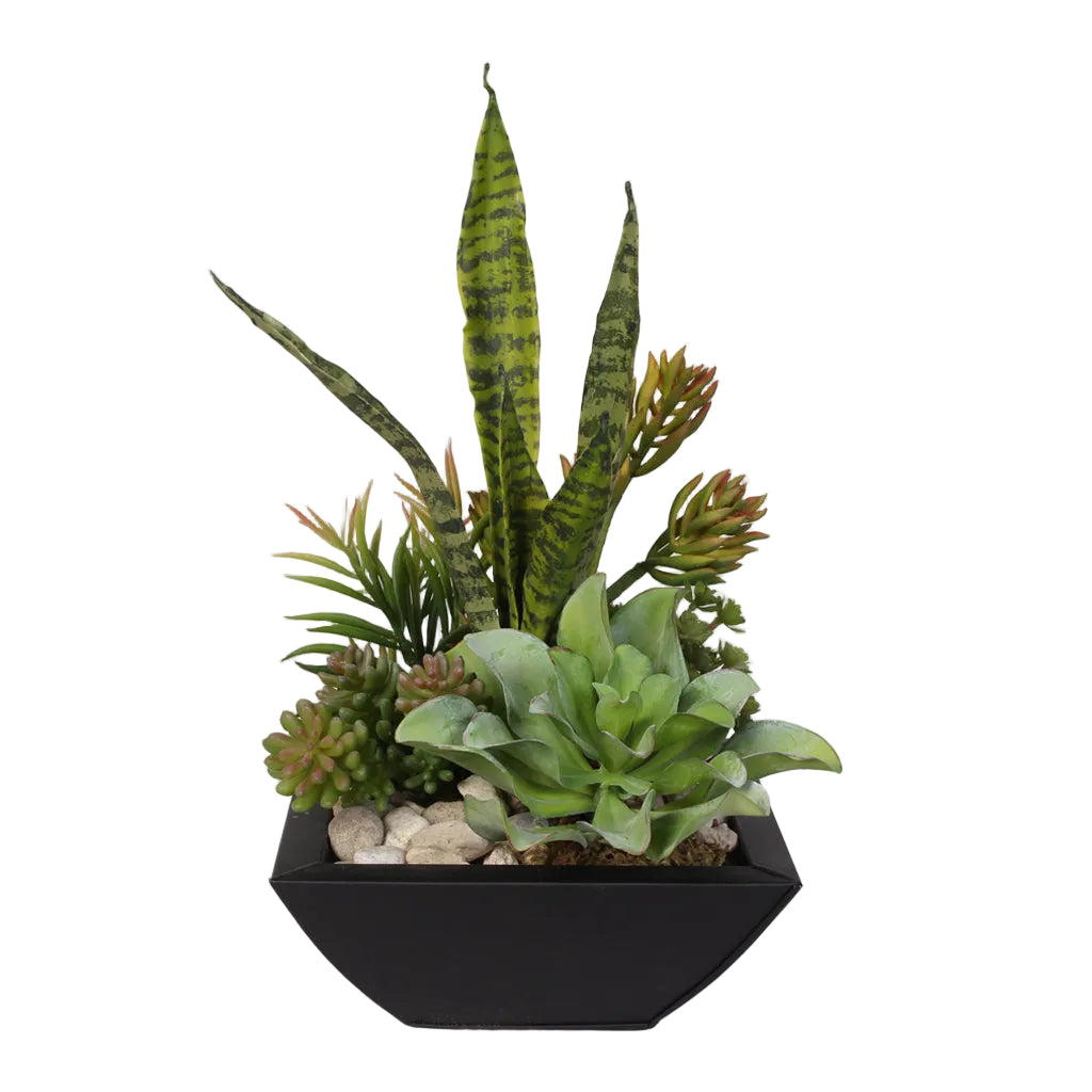 Blooming Succulent Arrangement with Pebbles in Metal Pot #OS-8