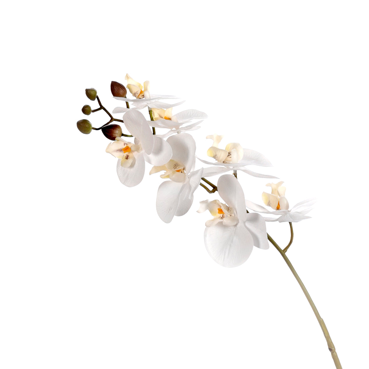 26" Real Touch Phalaenopsis Cream Orchid x7 Flowers (12 Pcs Per Box) #OY372-C