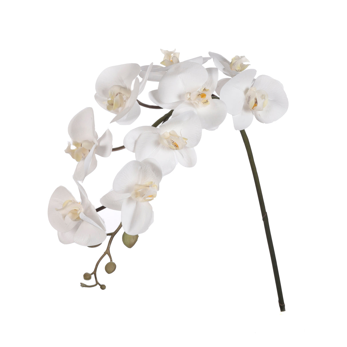 39" Real Touch Phalaenopsis Orchid White x 9 Flowers (6 Pcs Per Box) #OY391C