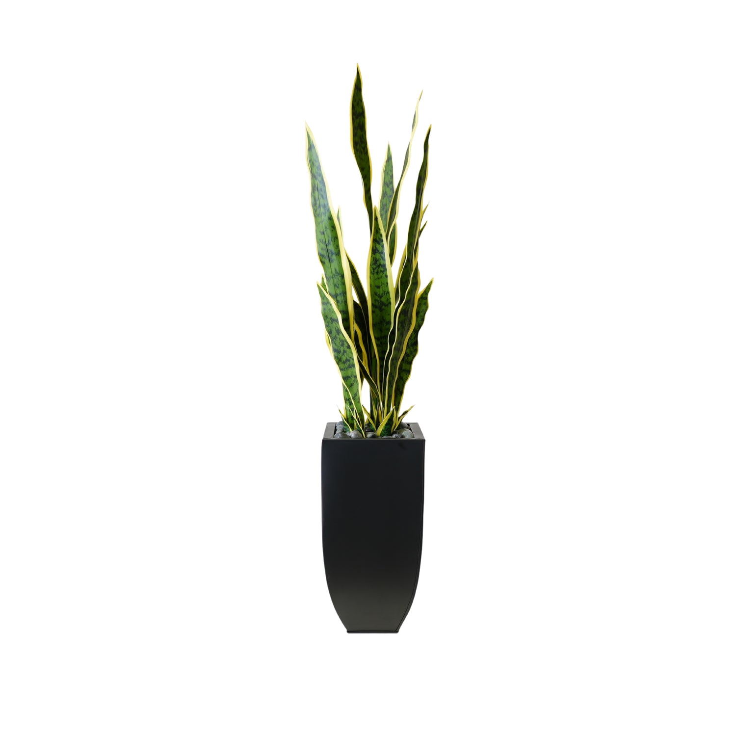 faux sansevieria 44"H Faux Sansevieria with Rocks In Black Tin Planter #P-20 – Jenny Silks