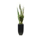 44"H Faux Sansevieria with Rocks In Black Tin Planter #P-20