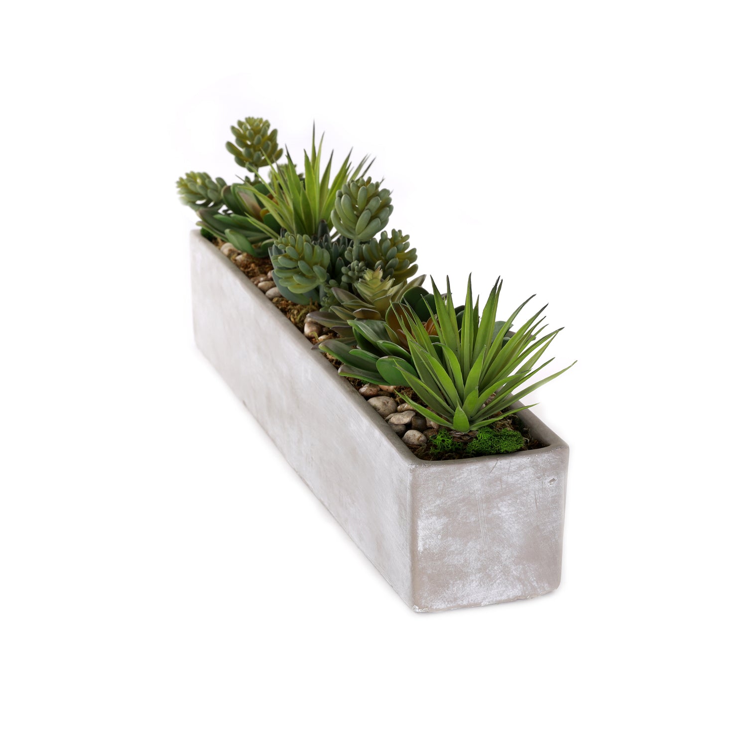 rectangle succulent planter Succulent in Planter Jenny Silks