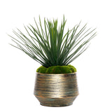 Whipple Yucca/Moss in Green Gold Metal Planter #S-69
