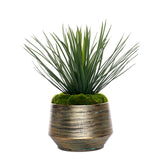 Whipple Yucca/Moss in Green Gold Metal Planter #S-69