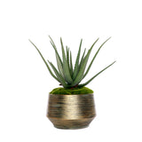 Real Touch Agave Plant/Moss in Green Gold Metal Planter #S-70