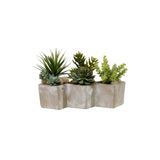 Succulents Arrangement in Concrete Triple Pot #S-73
