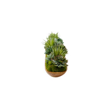 Succulents Arrangement in Teak Wood Tray #S-82
