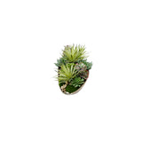 Faux Moss,Succulents Arrangement in Metal Tray #S-84