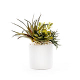 Succulents in White Ribbed Planter #S-85