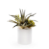 Succulents in White Ribbed Planter #S-85