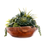 Succulents in Teak Wood Bowl #S-86
