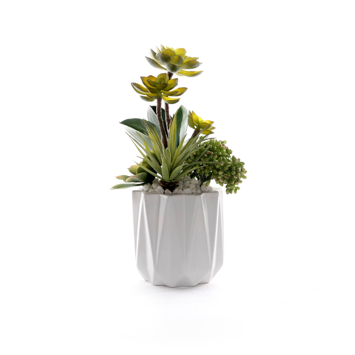 Succulents in White Dimensional Planter #S-89