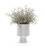 Faux Spanish Moss in White Cylinder Urn #S-90