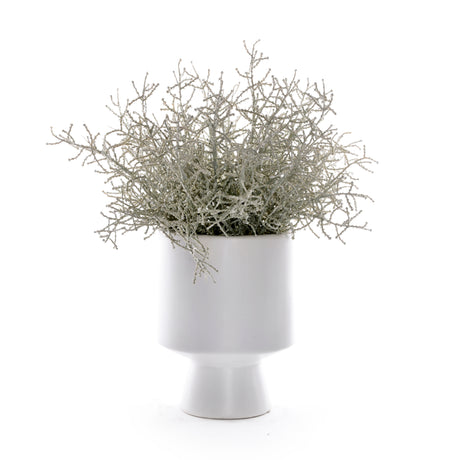 Faux Spanish Moss in White Cylinder Urn #S-90