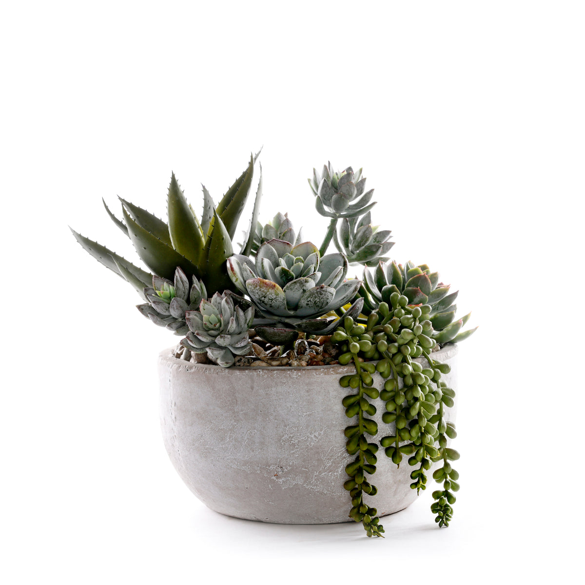 Succulents in Round Stone Wash Bowl #S-91