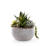 Succulents in Round Stone Wash Bowl #S-91