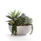 Succulents in Round Stone Wash Bowl #S-92