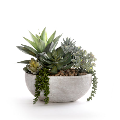 Succulents in Round Stone Wash Bowl #S-92