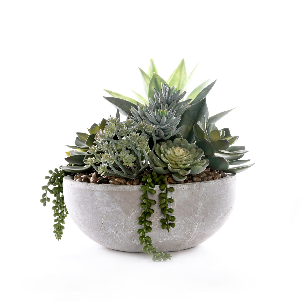 Succulents in Round Stone Wash Bowl #S-92