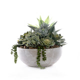 Succulents in Round Stone Wash Bowl #S-92
