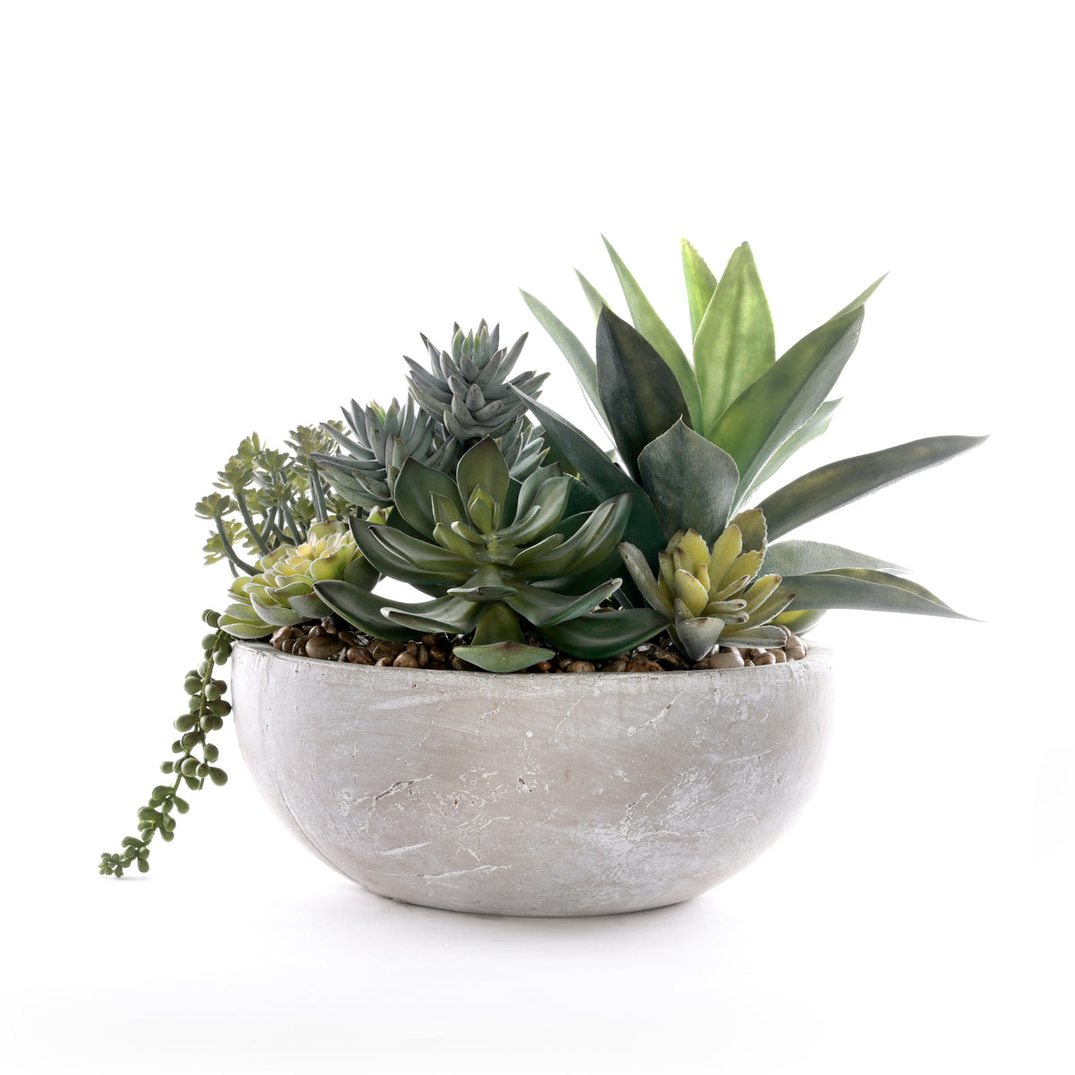 Succulents in Round Stone Wash Bowl #S-92